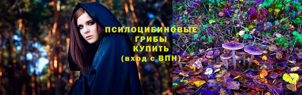 не бодяженный Алексин