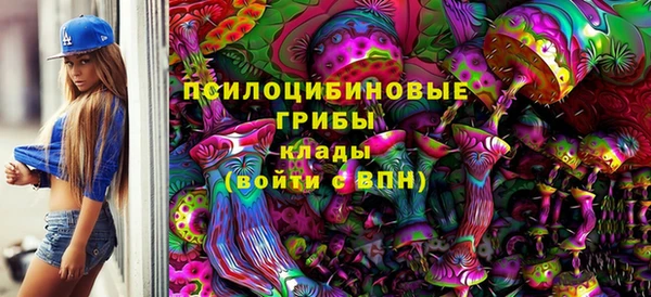 не бодяженный Алексин