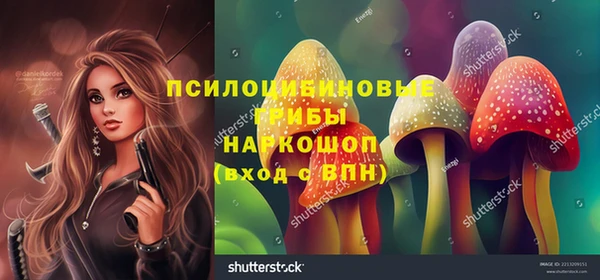 не бодяженный Алексин