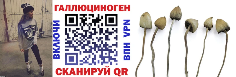 Галлюциногенные грибы Psilocybe  ОМГ ОМГ   Михайловск 