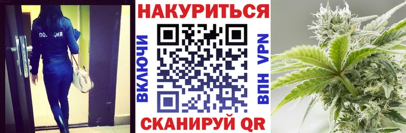 сколько стоит  Михайловск  Шишки марихуана семена 